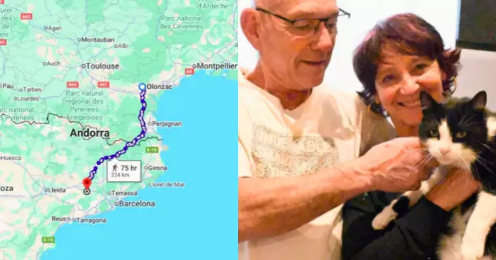 貓界奇蹟！法國貓徒步250公里穿越兩國重返主人懷抱