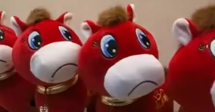 縫錯嘴反成焦點！國產「哭哭馬」玩偶紅到海外 中東、東南亞訂單湧入