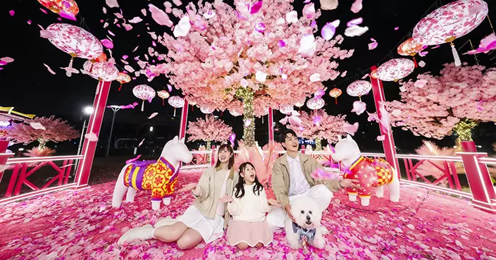 北角匯「花見春之園」新春盛典 海濱櫻花花海萌寵市集 近百萬禮遇喜迎豐盛馬年