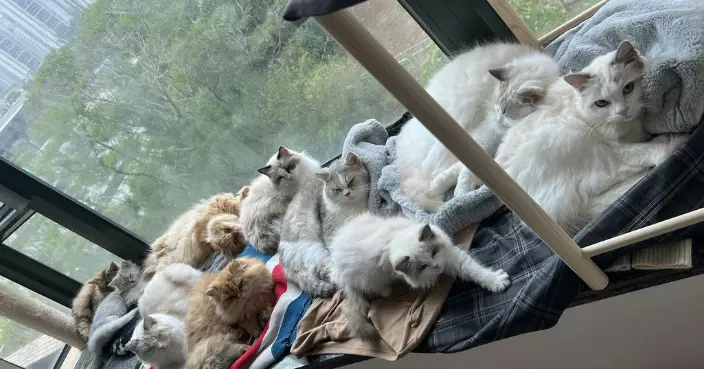 青衣住戶百元時薪聘鐘點　網民質疑薪金低見1畫面卻爭相倒貼​