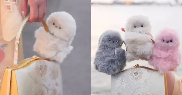 將取代labubu？日本推出情緒感應布偶「Mirumi」　搖頭、討抱宛如寵物