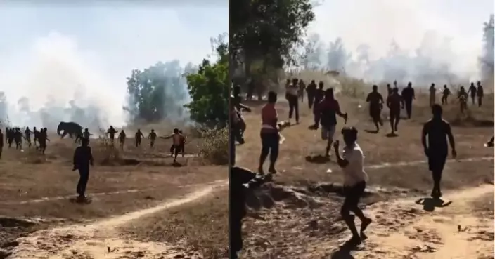 印度單牙狂象襲擊村莊9天奪22命 村民只敢夜宿屋頂