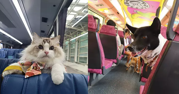 九巴寵物巴士團2月9日起每日服務 增設七日票方便主人攜寵出遊