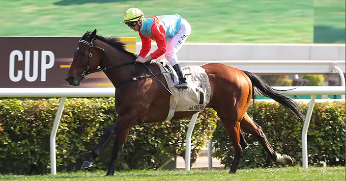 「嘉應高昇」獲評全球最佳短途馬 周日直指17連勝平「精英大師」香港紀錄