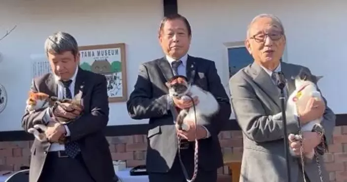 和歌山電鐵貓站長交棒！「四玉」正式上任  「五玉」「六玉」同步展開新職務