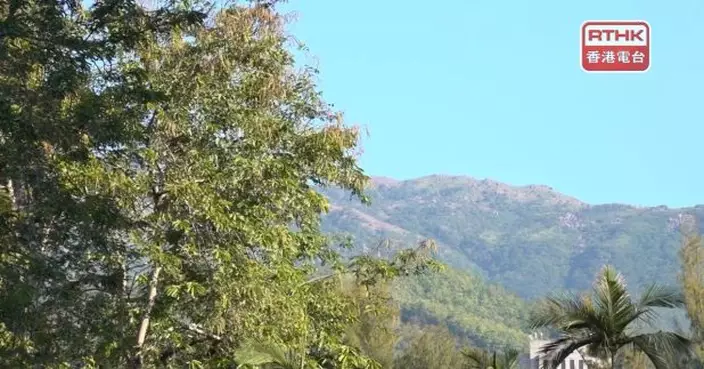 霜凍警告再發出　天文台預測明早市區最低氣溫約12度