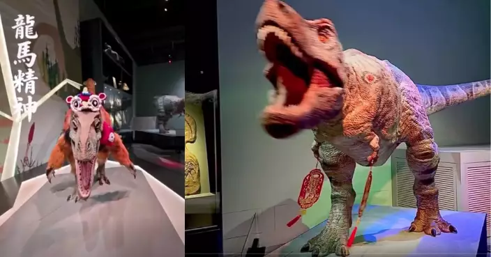 香港科學館展品齊賀年！暴龍搖掛飾、北極狐戴獅頭　網民指：「醒神晒」車公都唔使去