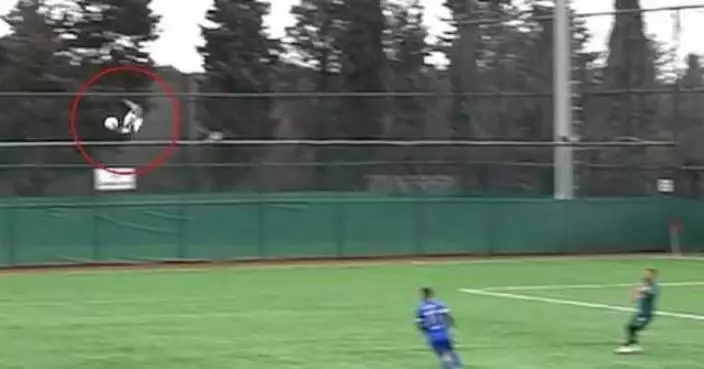 海鷗誤闖球場遭足球擊中昏厥 土耳其球員場上施CPR救一命