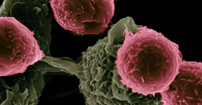 世衛報告揭秘：近四成癌症可預防！戒煙酒、接種疫苗成保命關鍵