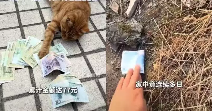 拜完財神接連兩天於家門口執到錢 四川女得知背後真相哭笑不得