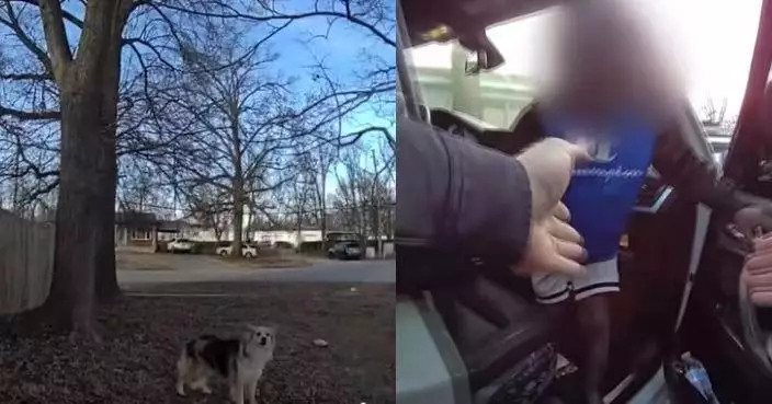 美3歲男童失蹤 警全城搜尋一無所獲終靠柯利混種犬引路成功尋回