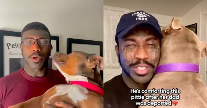 美國男推「比特犬共乘」計劃助被忽視犬隻重拾新生 10年寄養45隻