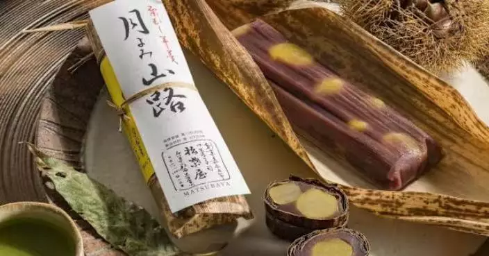 外形撞樣「塑膠炸彈」 日本「1手信」屢遭機場安檢誤認爆炸物攔查