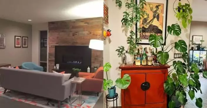 娶「植物控妻」簡約公寓變「森林系」 男子曬婚前婚後居所對比照掀熱議