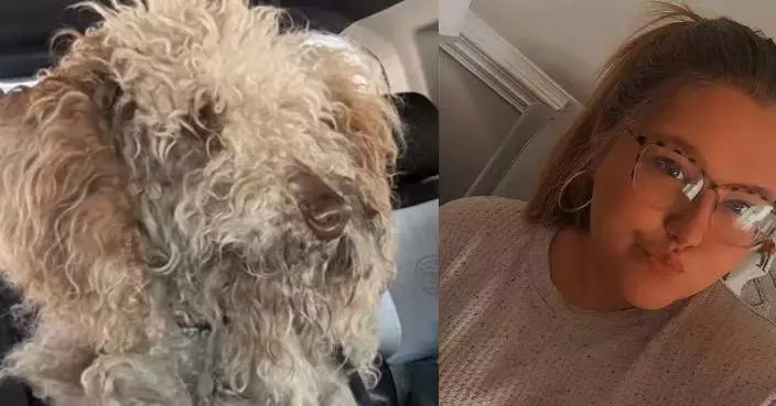 目睹狗狗零下6度街上徘徊 美國女抱回家避寒反惹官司？