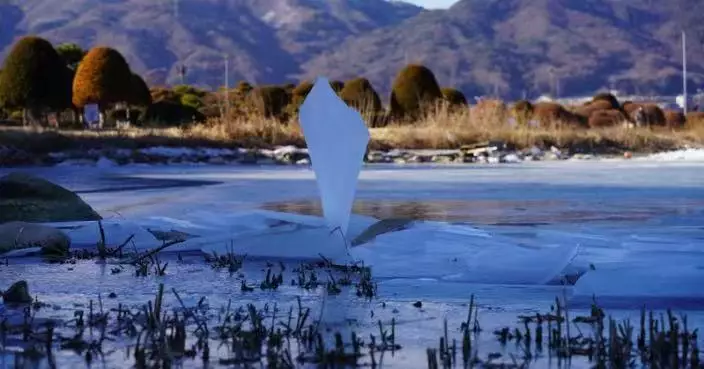 罕見奇景多年再現 日諏訪湖湖面直立「神秘白色物體」似遊戲「存檔點」