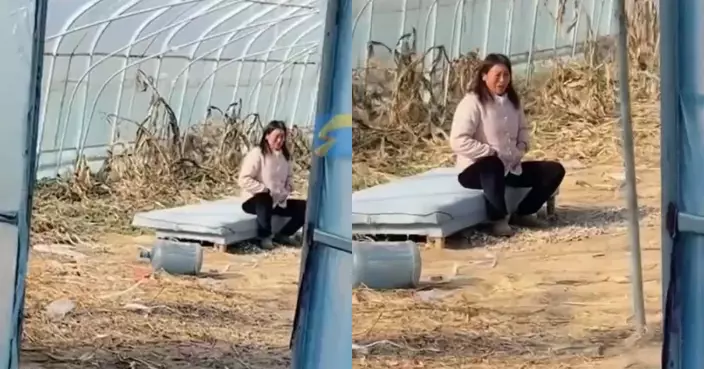 小香豬養1年遭宰殺不捨落淚 安徽婦人開食後大讚「好味」結局反轉