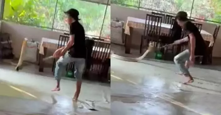 有片！家現逾1米長眼鏡王蛇 大馬男持鐮刀單挑徒手拖出屋外