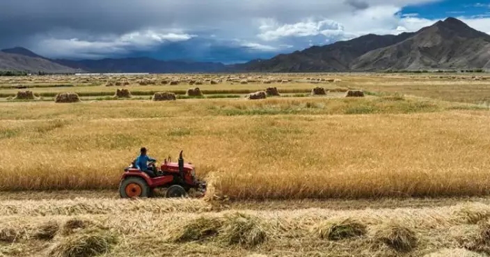 中央一號文件：農業農村現代化 促進重要農產品價格保持合理