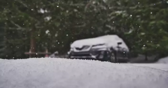 紐約1人1狗陳屍車內 疑發動機排氣管被雪堵住釀禍