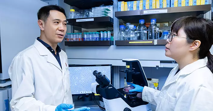 理大研發新型抗體針對脂肪細胞蛋白 為代謝相關肝癌治療帶來新方向