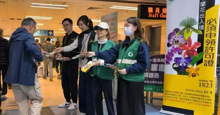 農曆年將至 海關提醒市民勿帶蘭花或其他受管制年貨返港