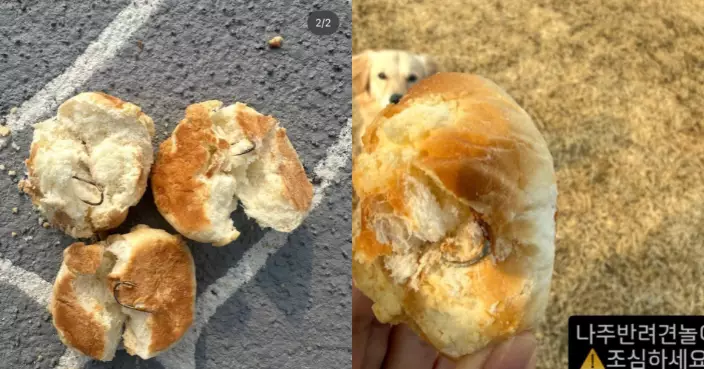 恐怖！南韓寵物公園地上驚見「魚鉤麵包」　狗狗吞食恐致命