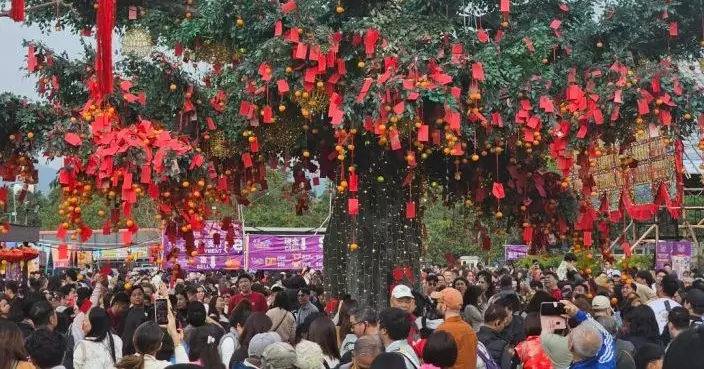 鄧炳強到林村視察　運輸署稱交通大致暢順密切留意人流