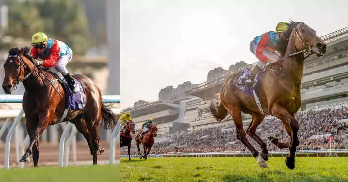 「嘉應高昇」無敵姿態18連勝 破「精英大師」塵封近21年紀錄