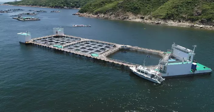 財政預算案2026｜消息指「漁業持續發展基金」2千萬元助現代化海魚養殖場用戶