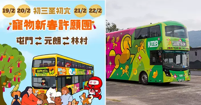 九巴龍運新春攻略 一文睇盡寵物巴士團、特快63R及攝太歲路線