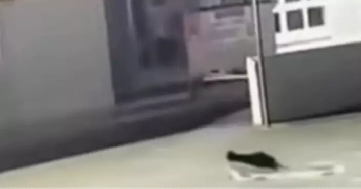 離奇竊案！紐西蘭小學毛巾內衣頻失　監控揭「真兇」竟是大膽「小毛賊」？