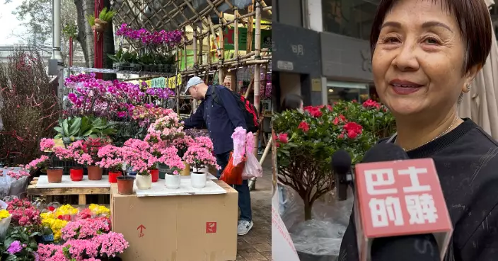 情人節農曆新年接踵而至旺角花墟人流旺  市民選購含愛情花語年花贈愛侶