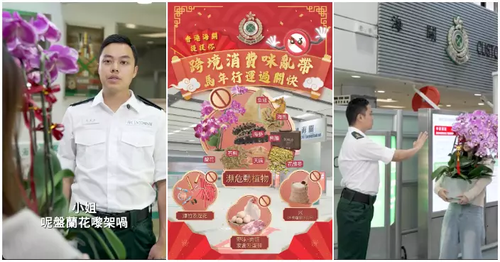 北上行花市勿貪平就買 海關提醒：蘭花等瀕危物種不能帶回香港