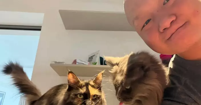 春節寵物經濟火熱！上門餵貓需求暴增25%　從業者：每天只睡三四小時