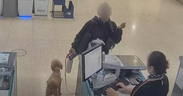 「文件沒辦好」就丟狗？美冷血飼主機場棄養貴賓犬　警員一個決定暖哭全网