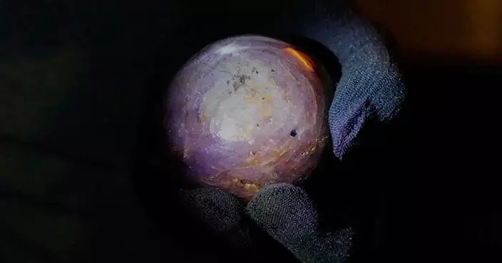 斯里蘭卡礦坑驚現世界級寶藏！「淨土之星」紫星藍寶石　估值或達4億美元