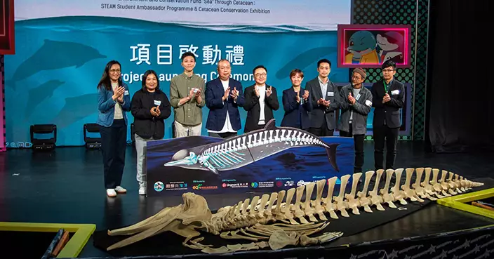 嶺大夥多機構推鯨豚STEAM保育計劃 逾190中學生親製全球稀有朗氏喙鯨骨骼標本 2027年公展