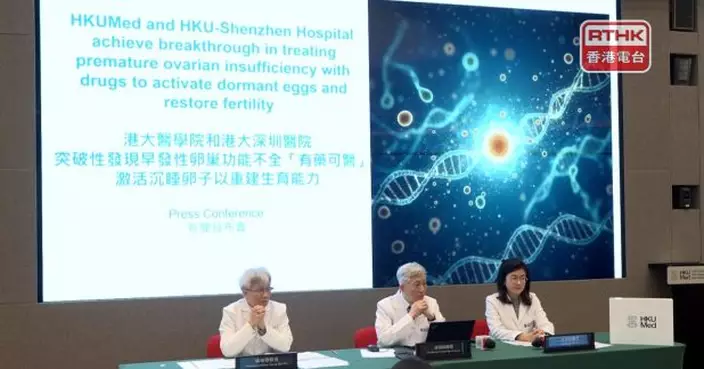 港大發現慢性腎病藥物可為早發性卵巢功能不全病人帶來生育希望