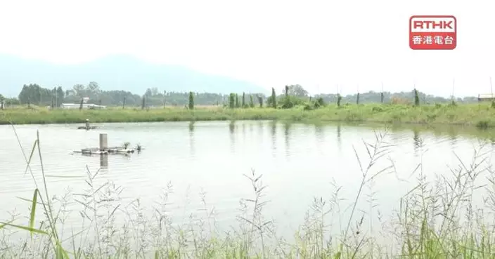 保安局擬取消部分米埔邊境禁區及修訂邊境禁區界線