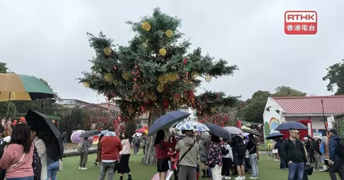 大批市民到大埔林村許願節拋寶牒祈福