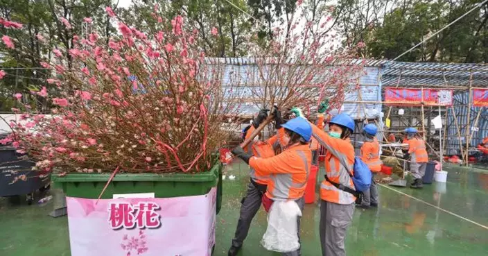 農曆年宵市場共錄得約265萬人次到訪　年廿九是人流高峰