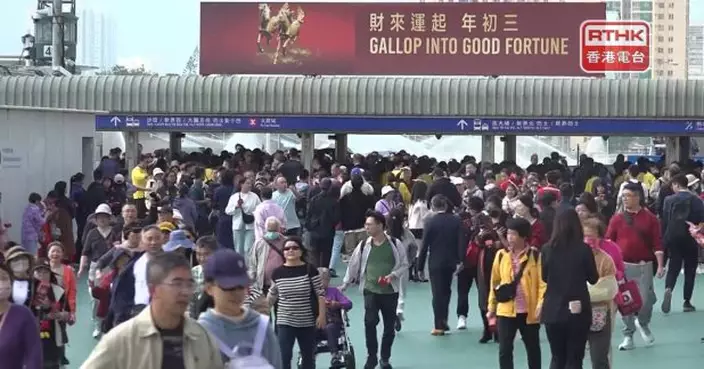 初三賀歲馬在沙田馬場舉行　「桃花開」贏馬年盃