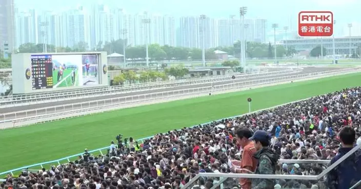 賀歲馬吸引大批市民及遊客　馬會稱全日逾9萬8千人次入場