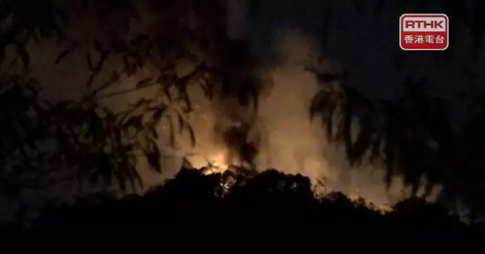 粉嶺坪輋一帶山火　兩條火線分別長約數十米