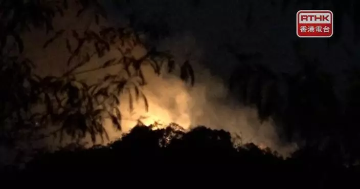 粉嶺坪輋一帶山火救熄