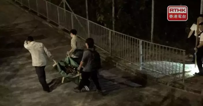 野豬闖入港鐵烏溪沙站一帶　晚上被麻醉槍射中制伏