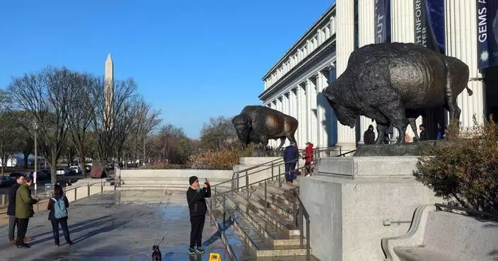 美國國獸野牛獲青銅雕像致敬 慶祝建國250周年