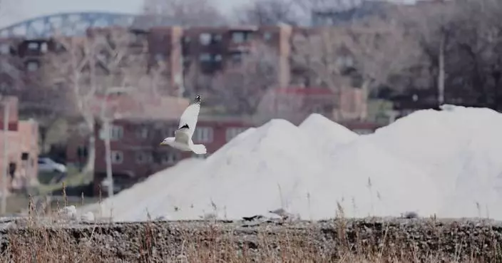 伊利湖下巨型鹽礦加班應對冬季道路需求