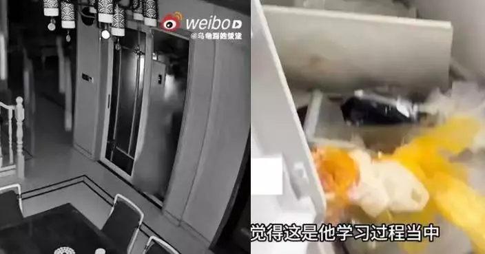 少年誤把乾冰放入雪櫃冷凍層凌晨突爆炸 浙母未動怒反耐心解釋原理